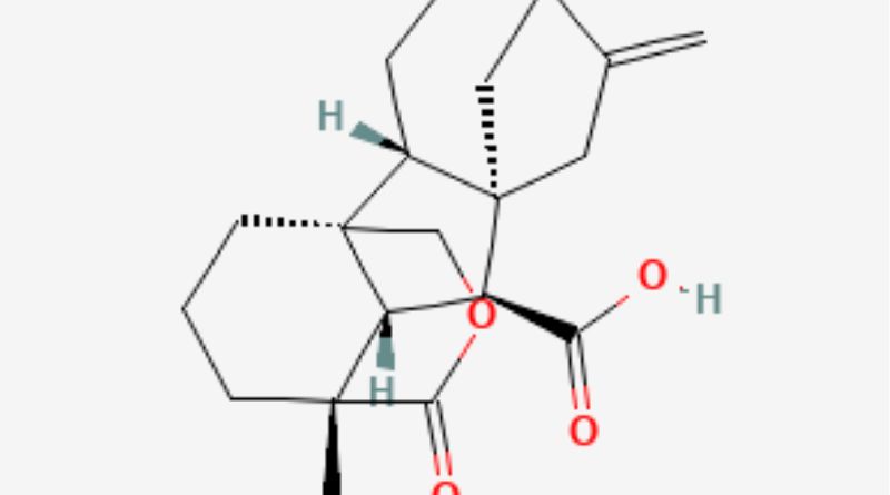 A113 Chemical Uses: Understanding Its Role and Applications