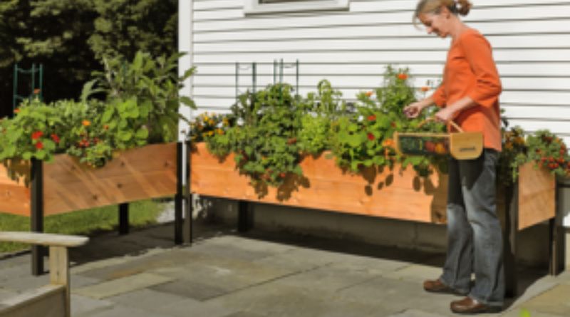 Cedar Planter Box: The Perfect Choice for Your Garden